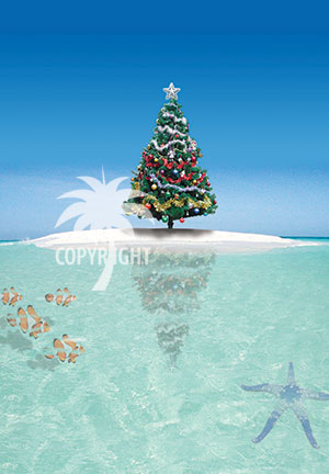 christmas great barrier reef