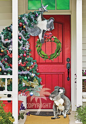 christmas with koalas